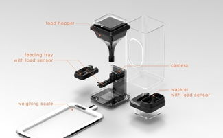 一、了解不同类型的自动喂食器