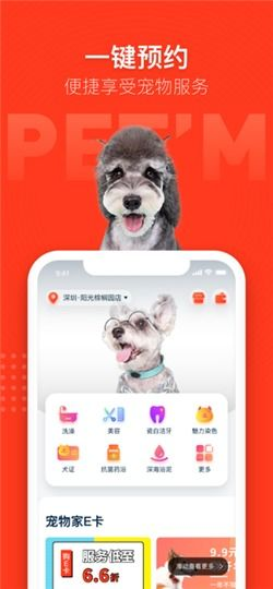 1. 宠物之家App