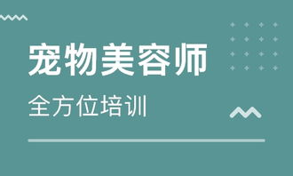 一、昆明宠物美容师培训学校的课程设置
