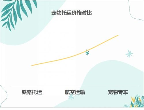 一、昆明宠物铁路托运的基本流程