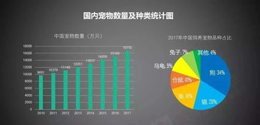 一、了解宠物需求