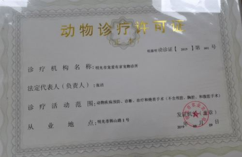 一、宠物护理证书的重要性