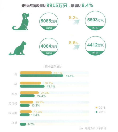 一、厦门宠物物流行业现状分析
