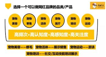 一、选择宠物店的关键因素