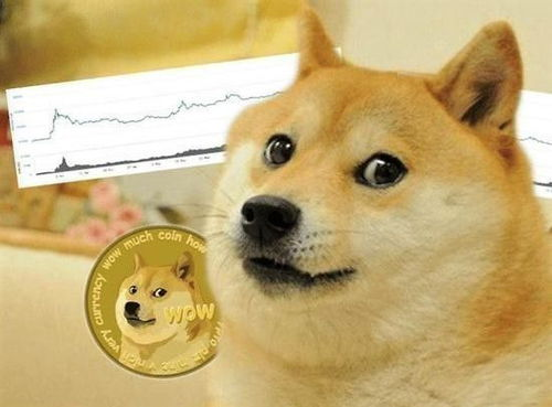 一、昆明宠物狗市场概述