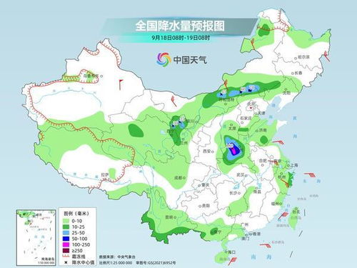 一、海口最大宠物市场的地理位置与规模