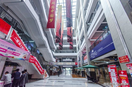 一、西宁主要宠物市场介绍