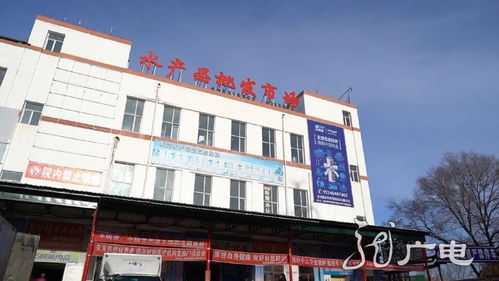 一、佳木斯宠物市场位置介绍