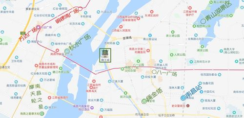 一、重庆宠物店分布概览