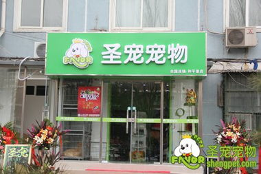 一、潮宠宠物店加盟优势
