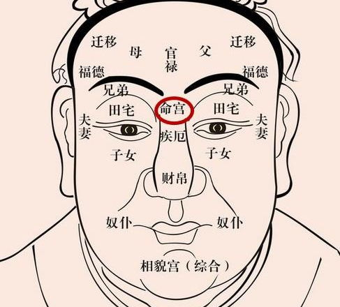 一、卜易免费算命测运势的原理与科学性生活资讯
卜易免费算命测运势基于传统的八字命理,结合五行、天干地支等元素,通过计算机算法为您分析个人运势。它不仅包含了传统的智慧,还融合了现代科技,使得算命结果更加精准和可靠。在您输入出生年月日时后,系统会自动计算出您的八字,并据此预测运势。
二、如何解读卜易免费算命测运势的结果