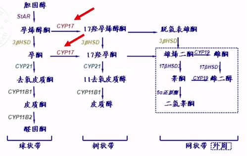 一、免费算2020运势的途径生活资讯
在互联网时代,获取免费2020年运势的途径多种多样。常见的有社交媒体、专业运势网站、手机应用等。这些平台通常会根据星座、生肖或是生辰八字提供运势分析。在选择这些服务时,要注意信息的来源是否可靠,以及是否含有潜在的商业广告。
二、免费算2020运势的准确性
