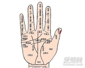 一、手相测试技术的发展历程生活资讯
手相学作为一门古老的预测学,自古以来就备受人们关注。传统的手相测试往往依赖于人工解读,耗时且准确性有限。随着科技的进步,手相测试技术逐渐发展起来,通过扫一扫掌纹,就能快速、准确地进行个性与命运分析。
(关键词:手相测试,科技,传统手相学)
二、手相测试扫一扫掌纹的原理