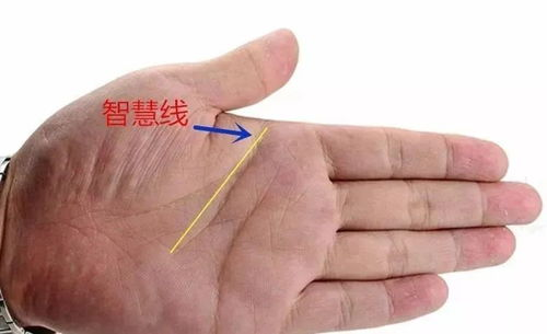 一、生命线短且曲折生活资讯
生命线位于拇指和食指之间的区域,向下弯曲至手腕。如果女性的生命线短且形状曲折,这通常被认为是命运多舛的标志。这样的手相意味着女性在一生中可能会面临较多的健康问题和生活的起伏。她们需要付出更多的努力来维持生活的稳定。
扩展词:命运走向、健康问题、生活起伏
二、智慧线中断或短促