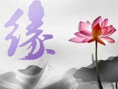 一、免费算命正缘桃花的起源与发展生活资讯
免费算命正缘桃花的概念源于我国古老的命理学,它认为每个人的八字命盘中都蕴含着关于感情的信息。随着互联网的普及,越来越多的人开始通过在线算命平台了解自己的正缘桃花,这使得免费算命服务得到了迅速发展。
二、免费算命正缘桃花的方法与技巧