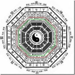 一、理解身弱丁火的命理特点生活资讯
身弱丁火指的是在个人八字中，丁火作为主位之火，其力量相对较弱。这种情况下，丁火需要得到其他五行元素的支持，如木来生火，金来助火。了解这一点，对于分析大运走向至关重要。

二、初期大运：木旺生火，运势上升