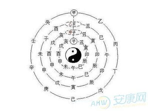 一、生辰八字概述生活资讯
生辰八字是中国传统文化中一种重要的算命方式,它基于个人出生的年、月、日、时来推测命运。对于1975年农历9月17日出生的属兔人八字中的天干地支组合能够反映出其性格特点、健康状况以及命运走向。
关键词:生辰八字, 1975年属兔, 免费算命
二、婚姻状况分析