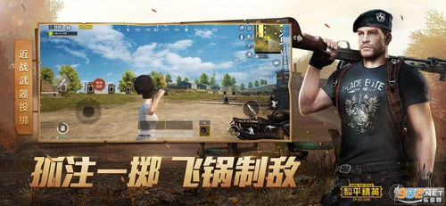 和平精英改画质软件的类型和作用