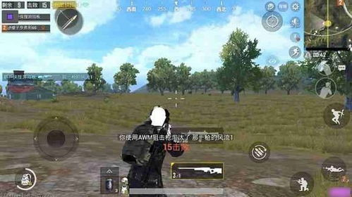 灭世和平精英辅助软件的基本功能