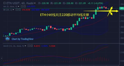 五、排行榜更新与趋势分析