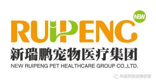 一、艾贝宠物诊疗中心的优势