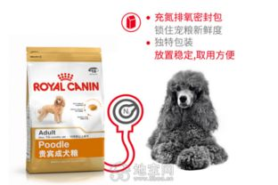 一、洛阳好主人宠物品牌介绍