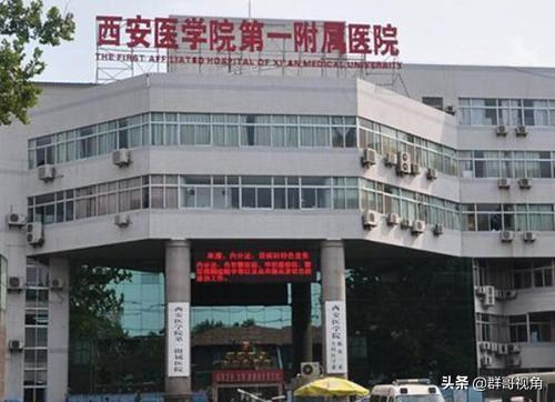 一、北小营宠物医院的服务特色