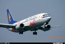 合肥飞机航空物流行业概述