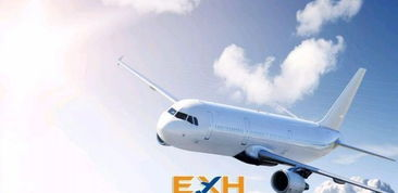 合肥航空公司快递服务概览