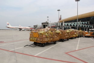 合肥航空货运超大货物概述