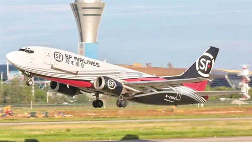 合肥航空货运服务网概述
