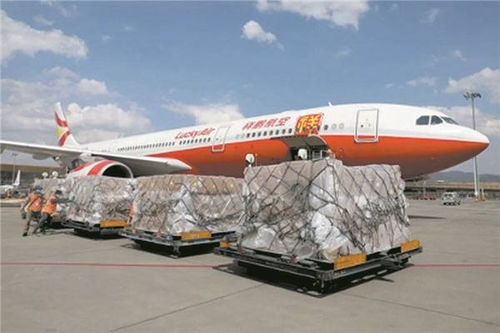 合肥航空企业货运概述