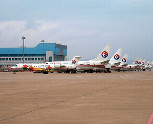 合肥货运航空公司电话概览