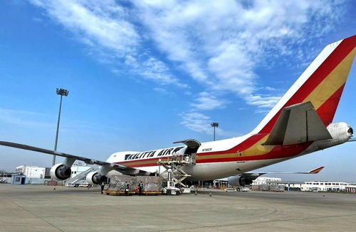合肥机场空运运输概述