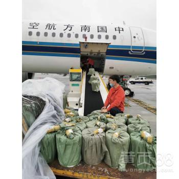 合肥精密仪器空运的重要性