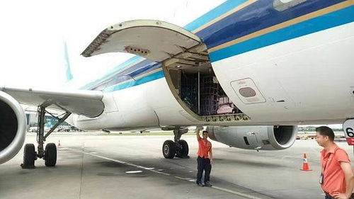 合肥文件空运服务特点