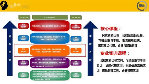 合肥文件航空物流概述