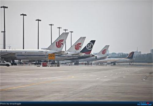 合肥急件空运服务的重要性