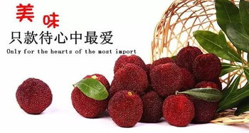 合肥航空快运杨梅的优势
