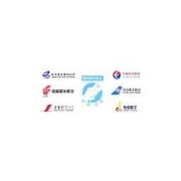合肥航空快运文件的优势