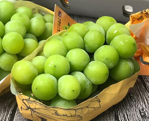 合肥航空快运水果的优势