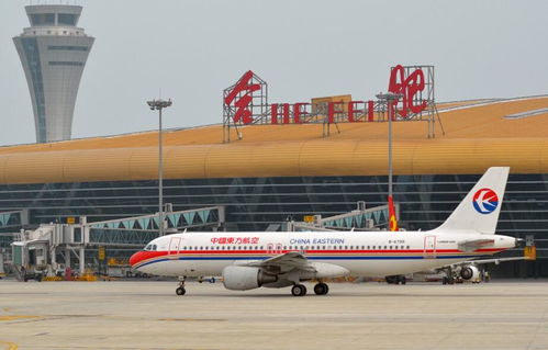 新桥国际机场货运基础设施与操作流程