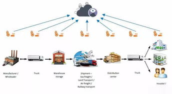 一、新桥航空货运的核心竞争力解析