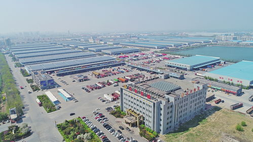 新桥航空货运枢纽的区位优势与基础设施