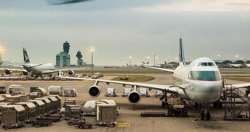 一、新桥航空货运物流的核心服务领域