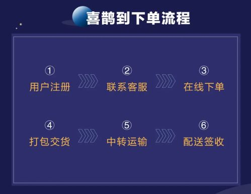 航空货运全链路服务体系