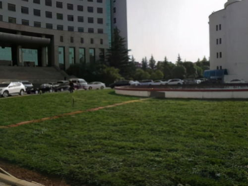 新桥航空加急服务的核心优势