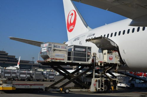 航空货运行业的数字化革新实践