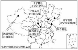 新桥空港货运枢纽的区位优势解析