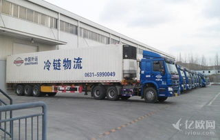 新桥机场冷链物流基础设施解析